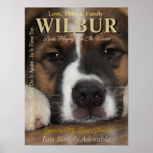 Maak van je huisdier de ster die ze zijn Tijdschri Poster