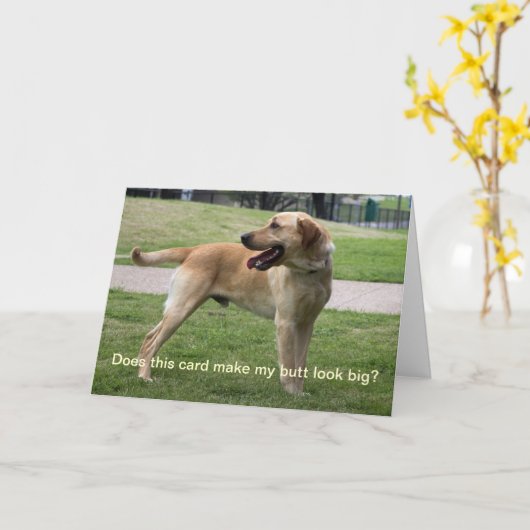 Maakt deze kaart mijn kont groot? (Gele Bloem)