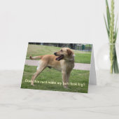 Maakt deze kaart mijn kont groot? (Voorkant)