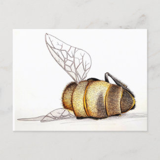 Maakt het ons zelfs iets uit? feestdagenkaart