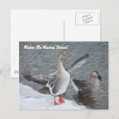 Maakt me willen dansen! briefkaart (Voorkant / Achterkant)
