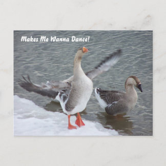 Maakt me willen dansen! briefkaart
