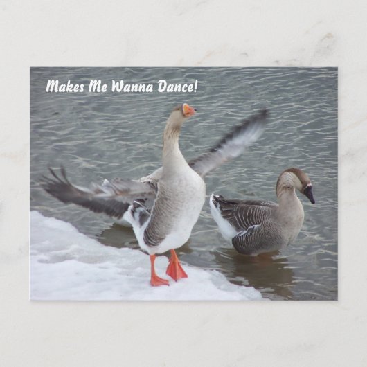 Maakt me willen dansen! briefkaart (Voorkant)