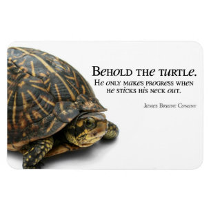 maakt vooruitgang magneet