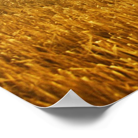 Maalhuistarwe Uitzicht poster (Hoek)