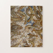 Maalwormen puzzel