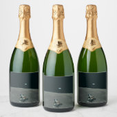 Maan Apollo NASA Maanlander en Aarde Sparkling Wijnetiket (Flessen)