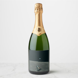 Maan Apollo NASA Maanlander en Aarde Sparkling Wijnetiket