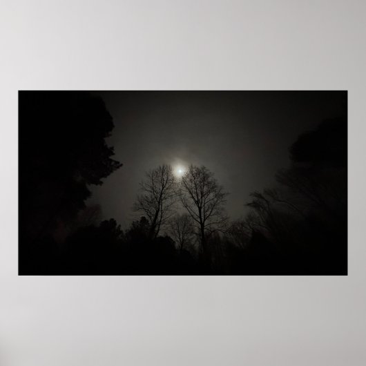 Maan boven Bomen, poster (Voorkant)