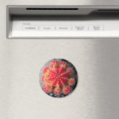 Maan cactus magneet (Insitu (Vaatwasser))