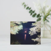 Maan door de dennen van Big Bay 2023 Briefkaart (Staand voorkant)