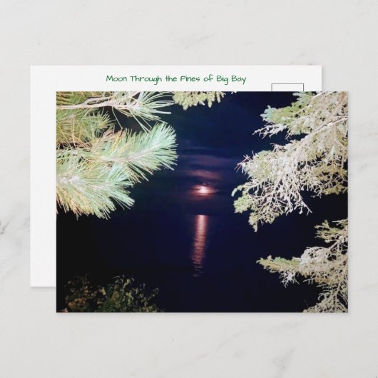 Maan door de dennen van Big Bay 2023 Briefkaart (Voorkant / Achterkant)