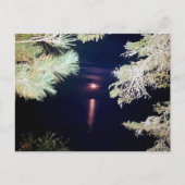 Maan door de dennen van Big Bay 2023 Briefkaart (Voorkant)