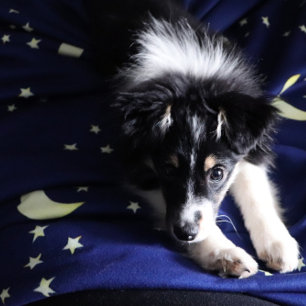 Maan en Sterren nacht Moonchild patroon Sherpa Deken