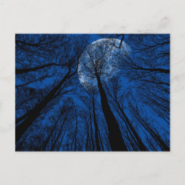 Maan in de Night Sky Briefkaart