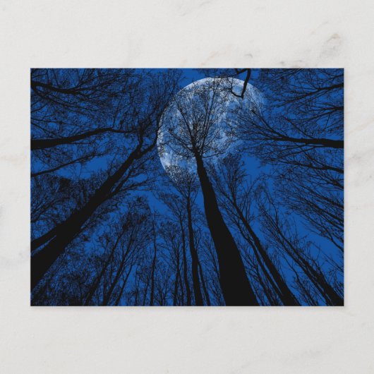 Maan in de Night Sky Briefkaart (Voorkant)