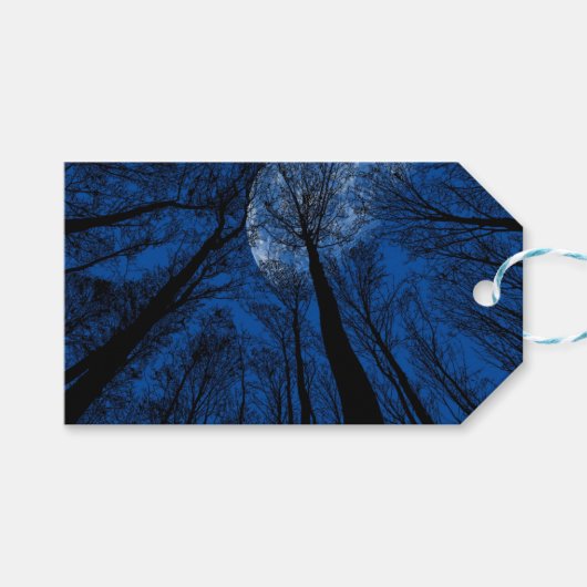 Maan in de Night Sky Cadeaulabel (Voorkant (Horizontaal))