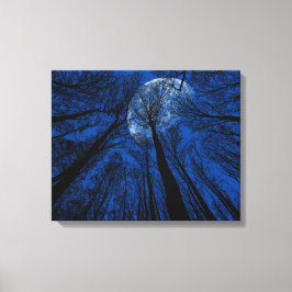 Maan in de Night Sky Canvas Afdruk