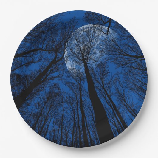 Maan in de Night Sky Papieren Bordje (Voorkant)