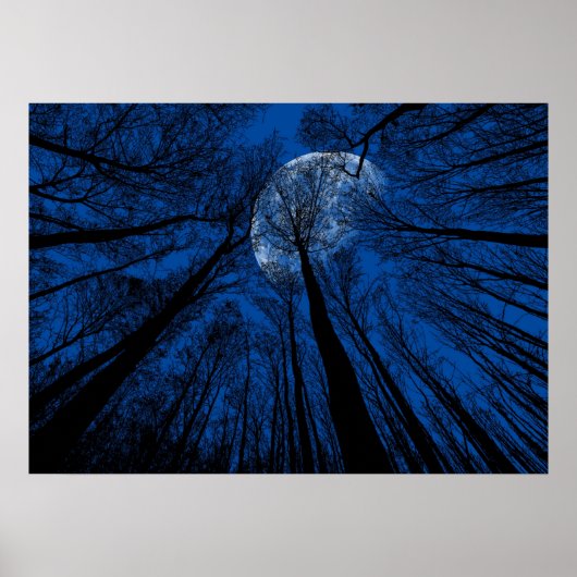 Maan in de Night Sky Poster (Voorkant)