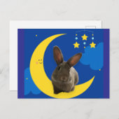 Maan Konijn Briefkaart (Voorkant / Achterkant)