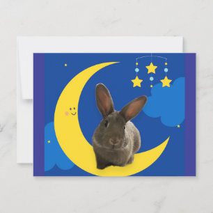 Maan Konijn Briefkaart