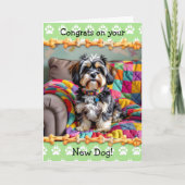 Maan leuk, gefeliciteerd met je nieuwe Lhaso Apso  Kaart (Voorkant)