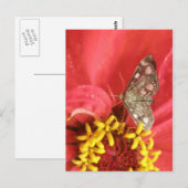  maan op rood ventilator Briefkaart (Voorkant / Achterkant)