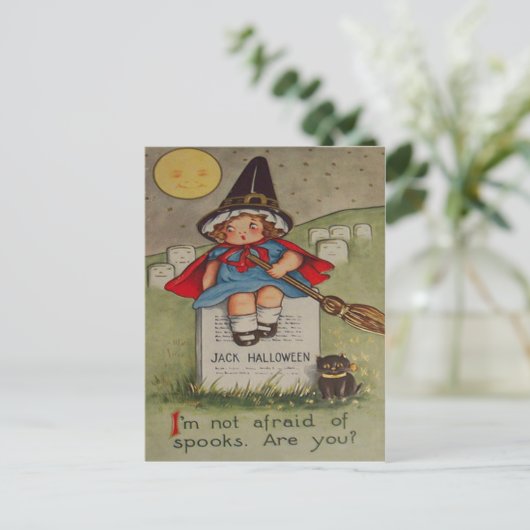 Maan van de Kat van de Grafsteen van de Briefkaart (Staand voorkant)