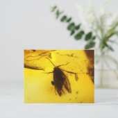 Maand in amber briefkaart (Staand voorkant)