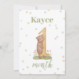 Maand per Maand Milestone Baby Kaarten