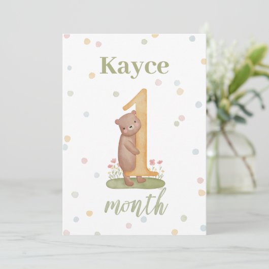 Maand per Maand Milestone Baby Kaarten (Staand voorkant)