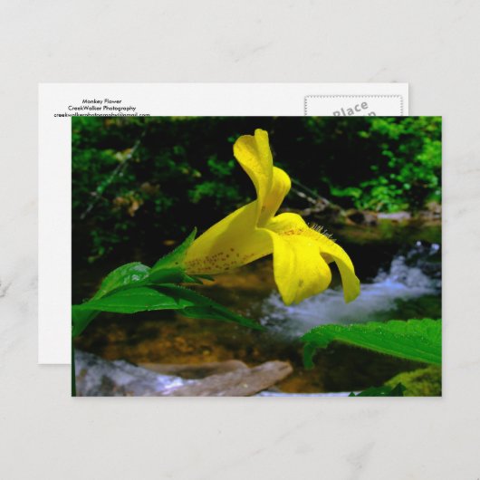 Maandaanventilator 01 briefkaart (Voorkant / Achterkant)