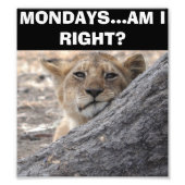 Maandag - Ben ik juist Poster (Voorkant)