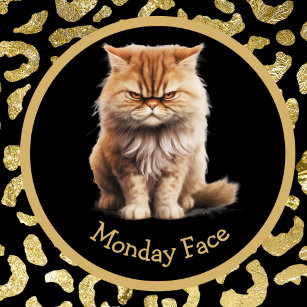 Maandag Gezicht Of Jouw tekst Angry Tabby Cat Mok