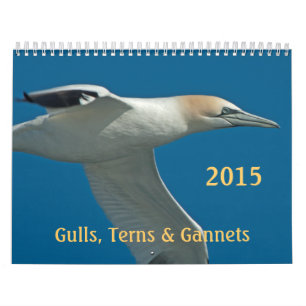 Maandelijkse agenda 2015 Terns, Gulls en Gannets Kalender