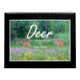 Maandelijkse agenda van december 2018 van Thomas M Kalender