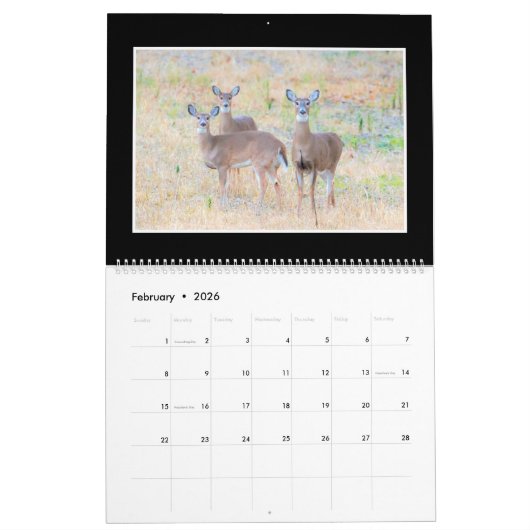 Maandelijkse agenda van december 2018 van Thomas M Kalender (Feb 2026)