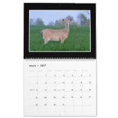 Maandelijkse agenda van december 2018 van Thomas M Kalender (Mar 2027)