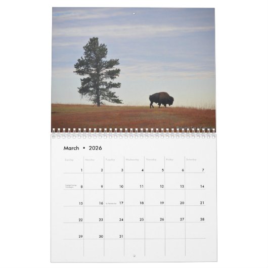 Maandelijkse bionkalender - National Parks Edition Kalender (Mar 2026)