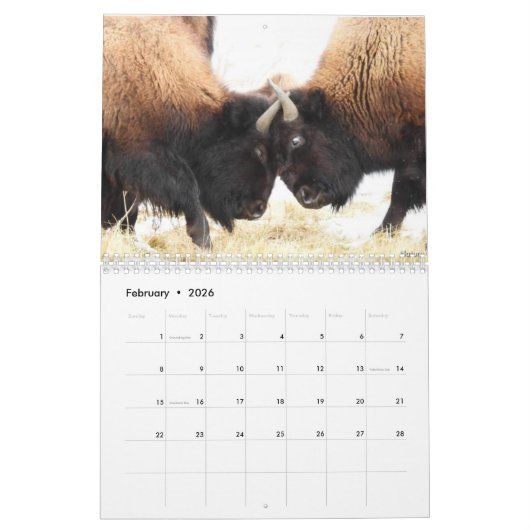 Maandelijkse bionkalender - National Parks Edition Kalender (Feb 2026)