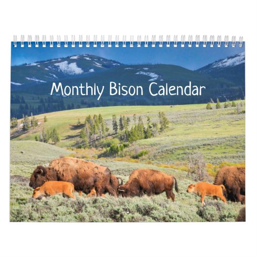 Maandelijkse bionkalender - National Parks Edition Kalender (Hoes)