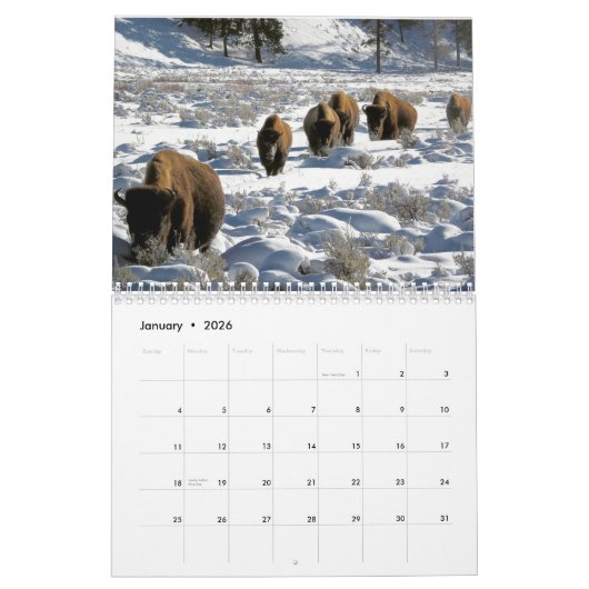 Maandelijkse bionkalender - National Parks Edition Kalender (Jan 2026)