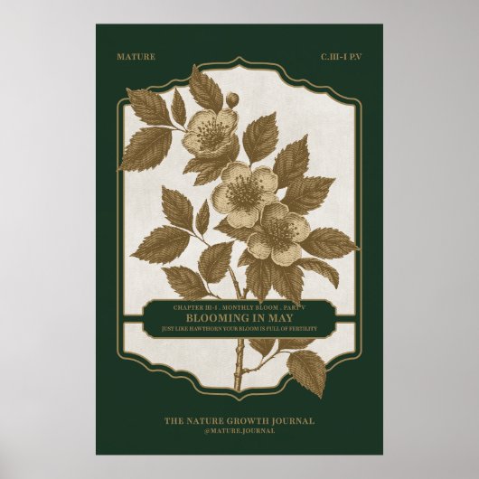 MAANDELIJKSE BLOEI - MEI GEBOORTEBLOEM CADEAU POST POSTER (Voorkant)