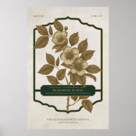 MAANDELIJKSE BLOEI - MEI GEBOORTEBLOEM CADEAU POST POSTER