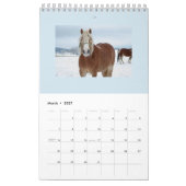 MAANDELIJKSE HORSE PLANNING CALENDAR KALENDER (Mar 2027)