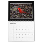 Maandelijkse kalender 2017 van Thomas Minutolo (Mar 2027)