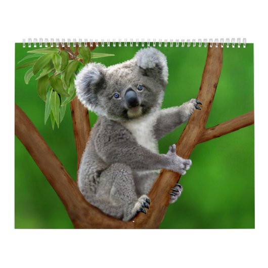 Maandelijkse kalender natuur (Hoes)