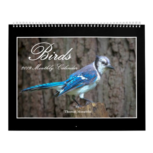Maandelijkse kalender van 2019 door Thomas Minutol (Hoes)