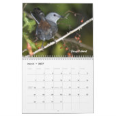 Maandelijkse kalender voor tuinvogels (Mar 2027)